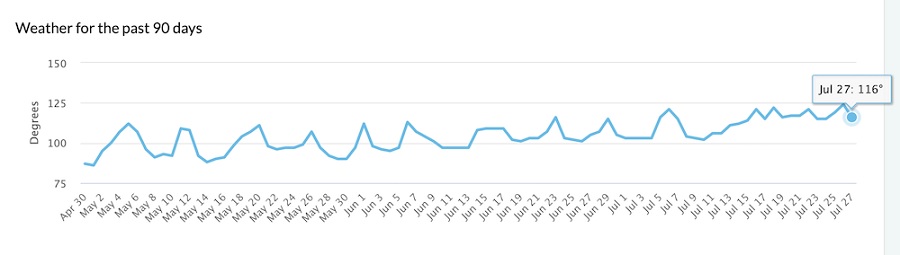 Штиль в выдаче Google и волнения в SEO-сообществе - ombm.ru