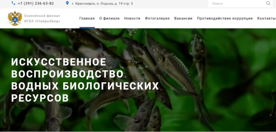 Создание сайта спортивной школы лыжных гонок